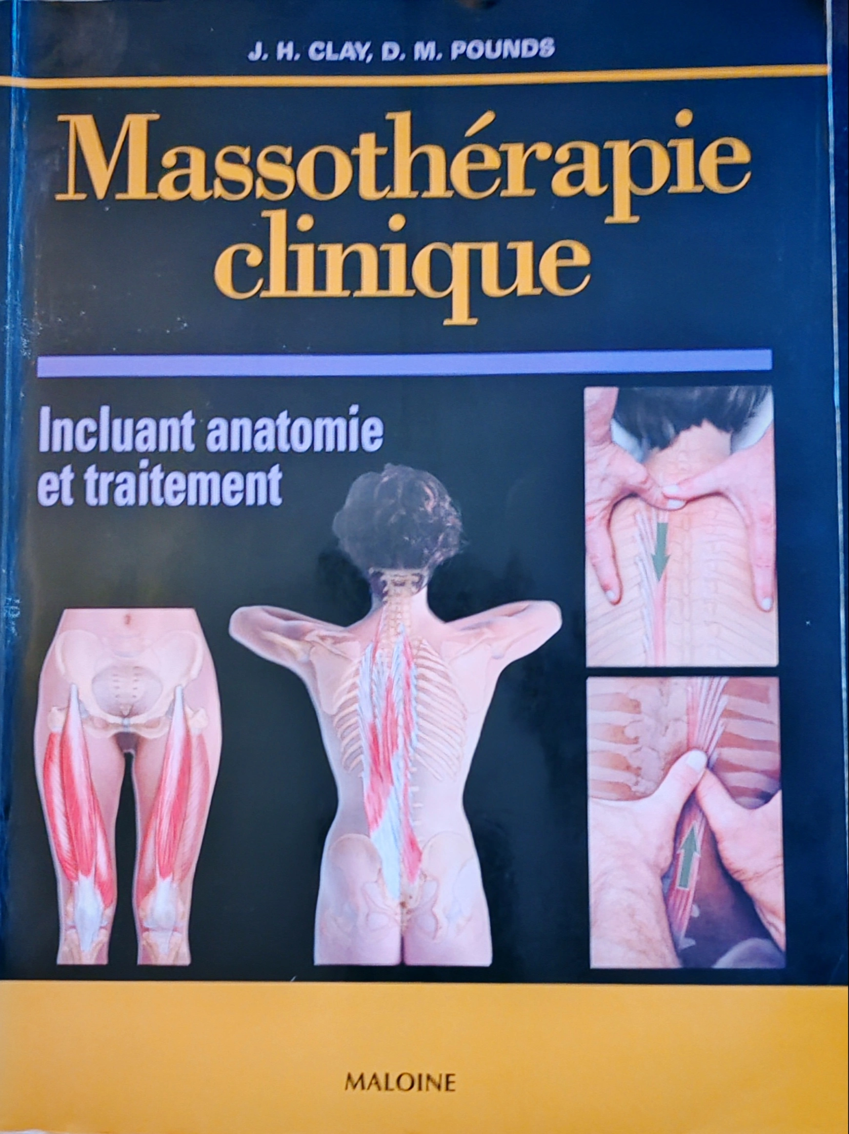 livre-massothérapie-clinique